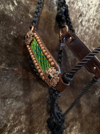 OG muletape lariat halter