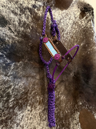 OG muletape lariat halter