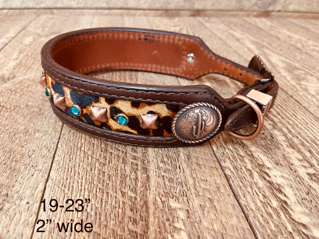 19-23” dog collar